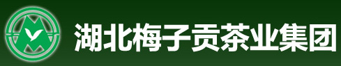 全自動金銀花殺青烘干生產(chǎn)線在梅子貢正式投產(chǎn)